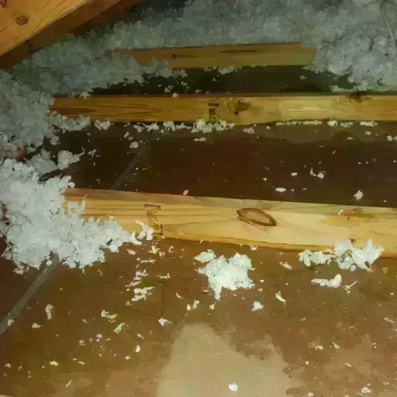 Attic Water Damage in Trenton, MO